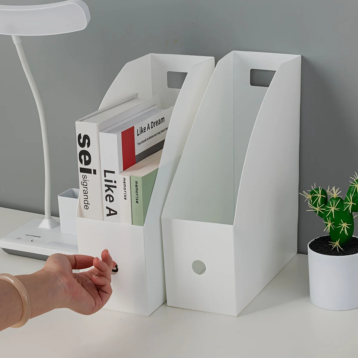 Vertical File and Magazine Holder - PP Plastic Desktop Document Rack for Folders, Books & Papers, Office Desk, Everstock