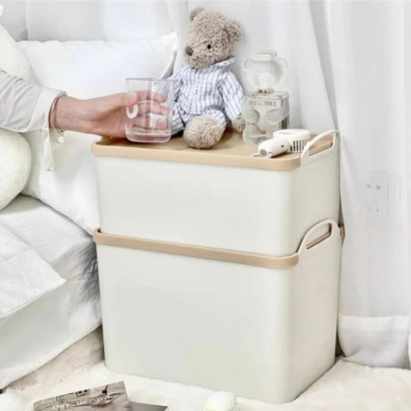 Multi-Function Storage Bin with Handles - Closet Floor Organizer Box for Blankets & Household Items, Everstock