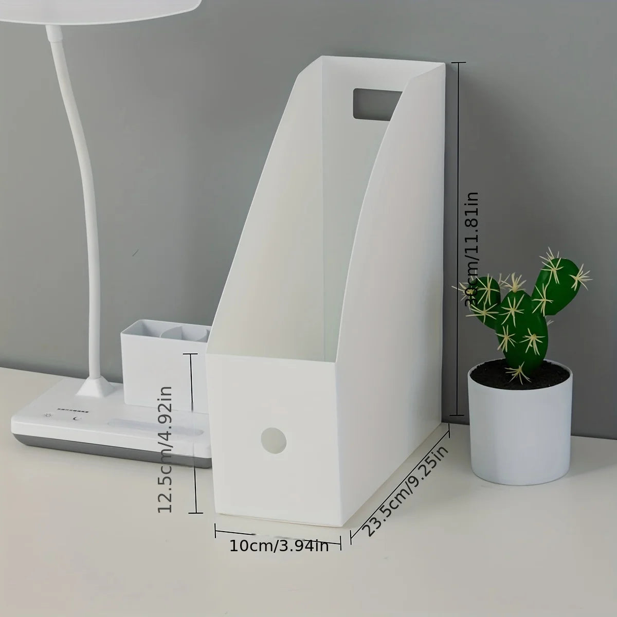 Vertical File and Magazine Holder - PP Plastic Desktop Document Rack for Folders, Books & Papers, Office Desk, Everstock