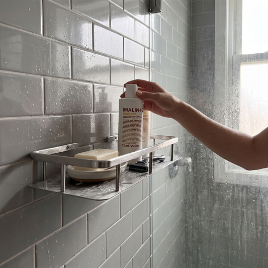 Silver Wall-Mounted Storage Shelf - Bathroom & Balcony Organizer, Everstock — Everstock